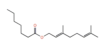 (E)-3,7-Dimethyl-2,6-octadienyl heptanoate